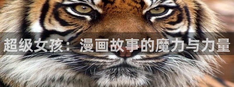 尾巴漫画网在线页面免费